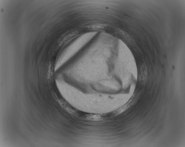 X0000086080140200704091311