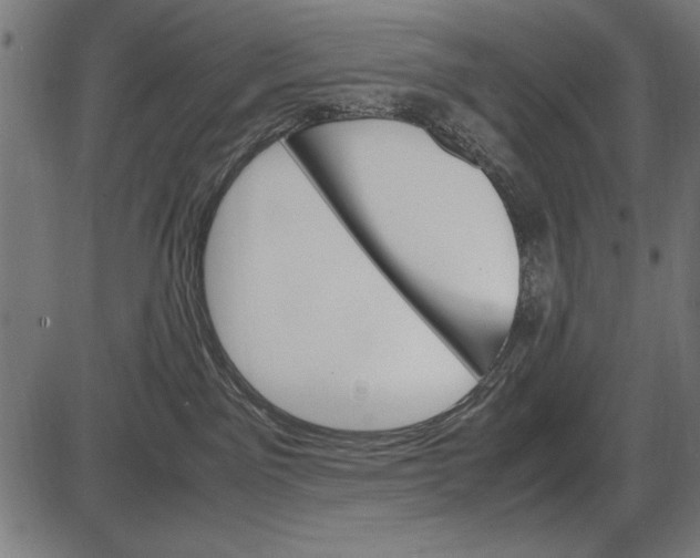 X0000086080141200704091310