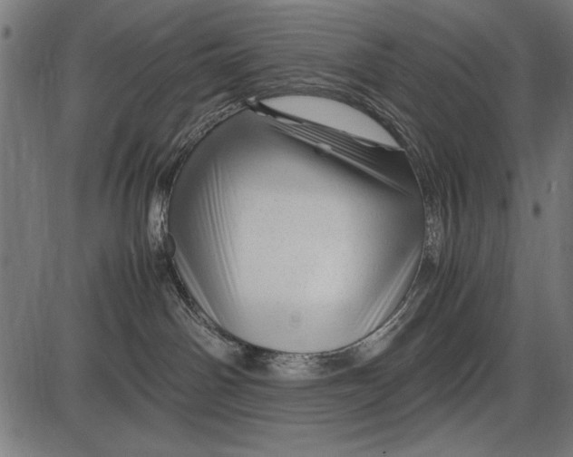 X0000086080142200704091310