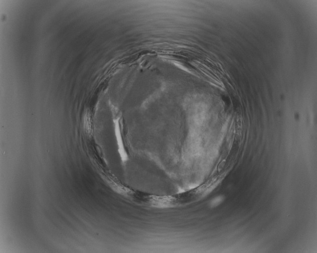 X0000086080143200704091310