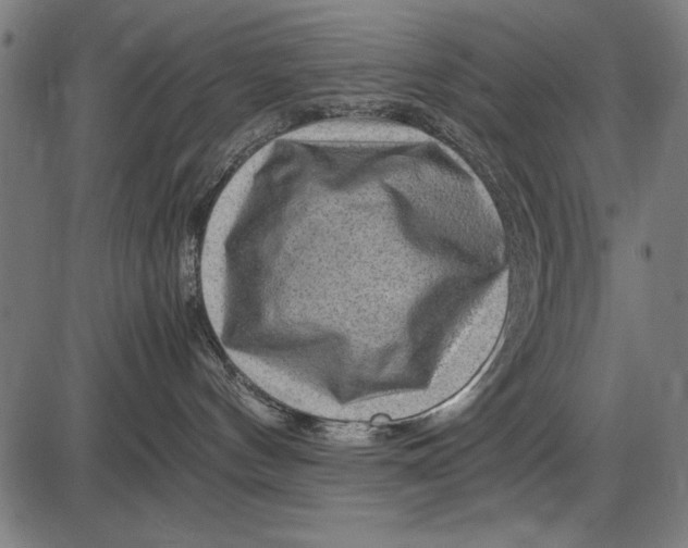 X0000086080144200704091310