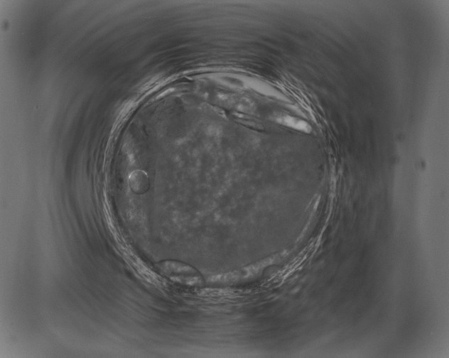 X0000086080145200704091310