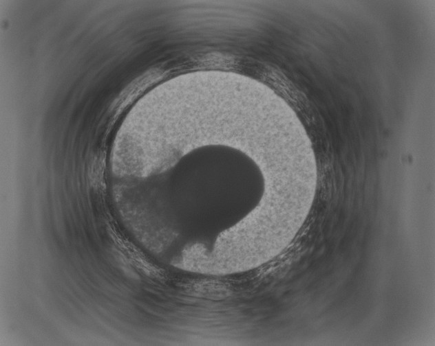 X0000086080146200704091310