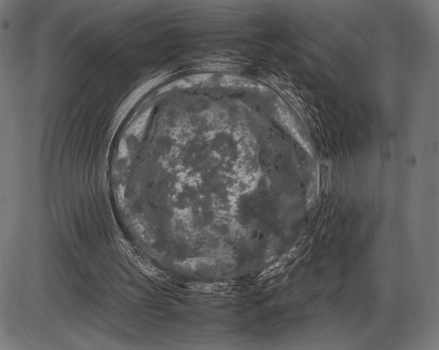 X0000086080147200704091310