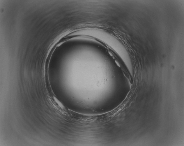 X0000086080148200704091310