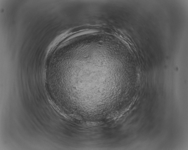 X0000086080149200704091310