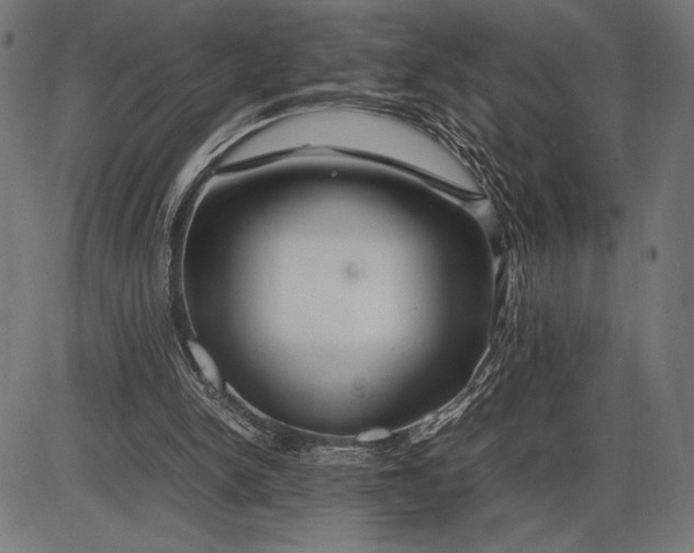 X0000086080150200704091310