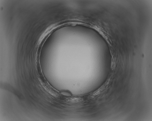 X0000086080151200704091310