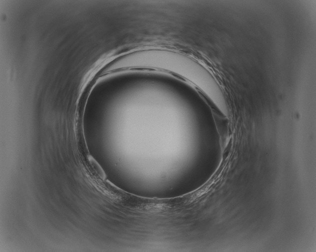 X0000086080152200704091310