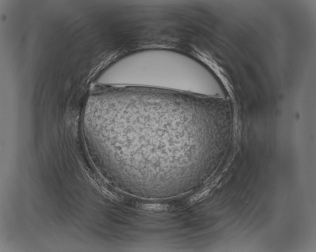 X0000086080153200704091310