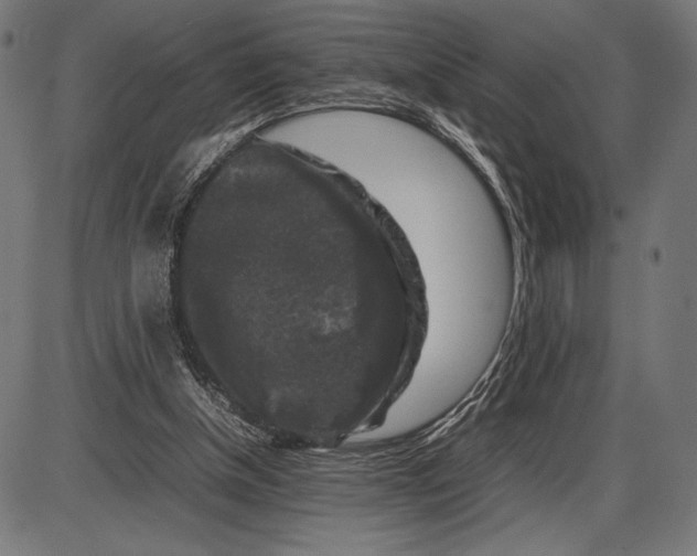 X0000086080154200704091310