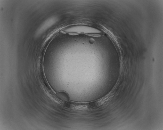 X0000086080155200704091310