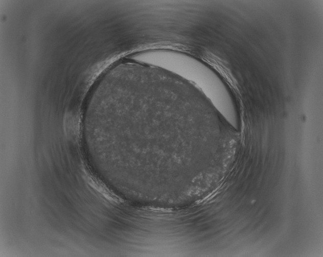 X0000086080156200704091310