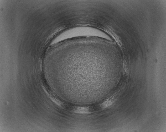 X0000086080157200704091310