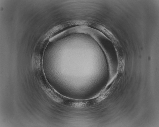 X0000086080158200704091310