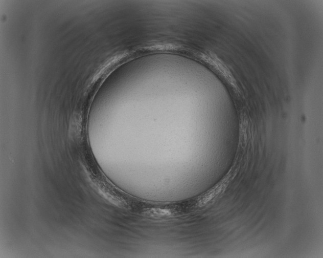 X0000086080159200704091310