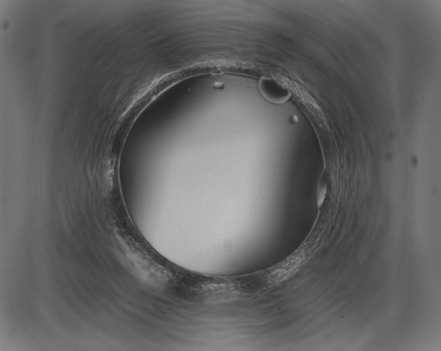 X0000086080160200704091310