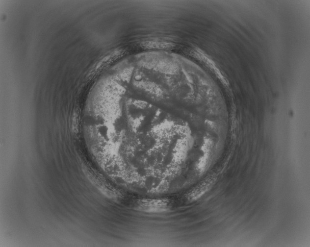 X0000086080161200704091310