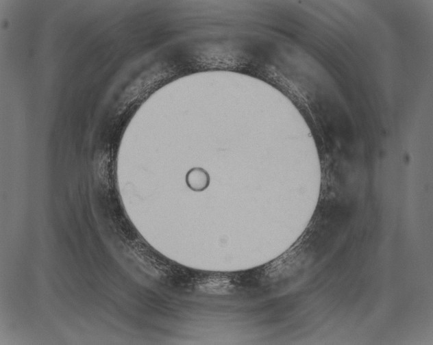 X0000086080162200704091310