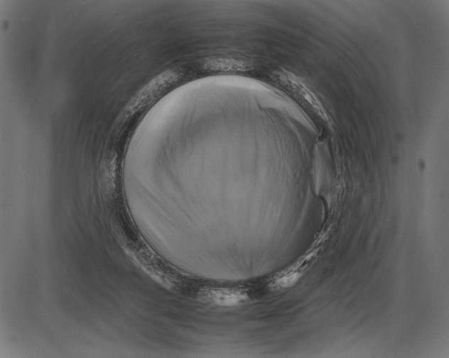 X0000086080163200704091310