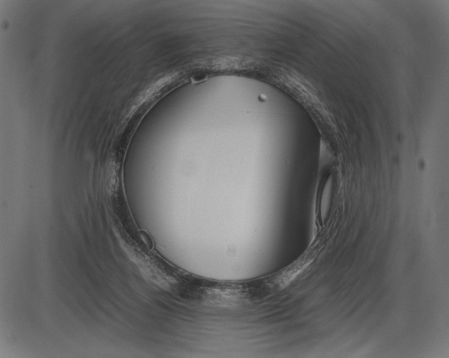 X0000086080164200704091310