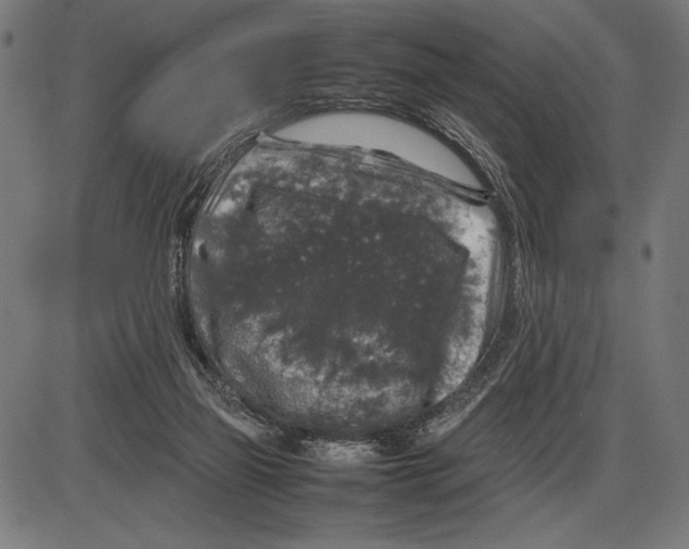 X0000086080165200704091310