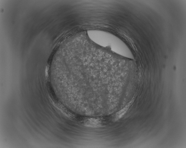 X0000086080166200704091310