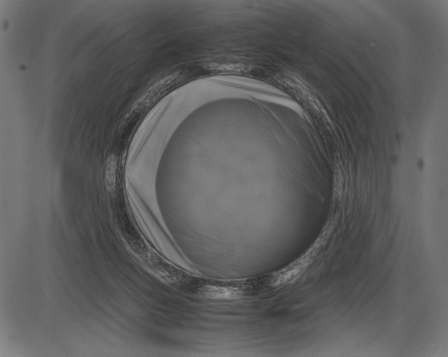 X0000086080167200704091310