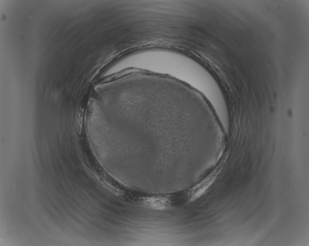 X0000086080168200704091310