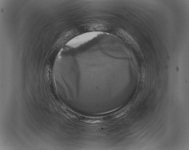 X0000086080169200704091310