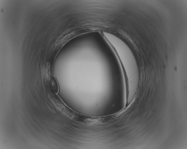 X0000086080170200704091310