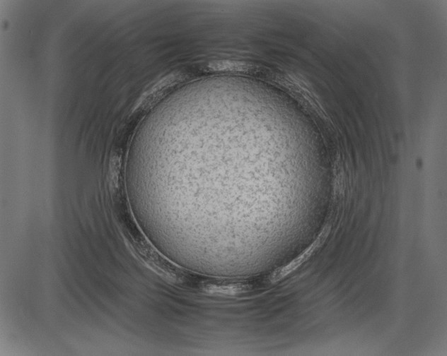 X0000086080171200704091310