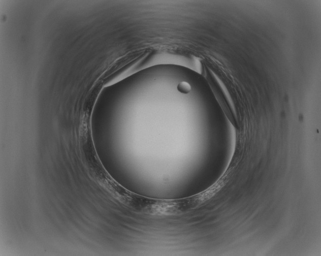 X0000086080172200704091310