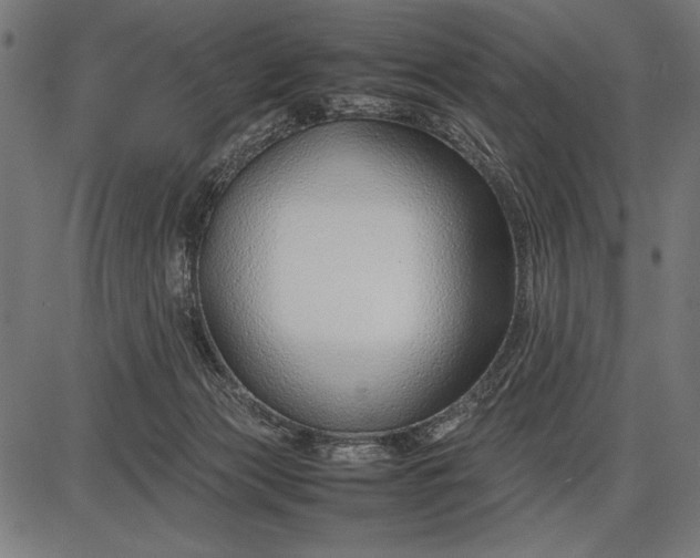 X0000086080173200704091310