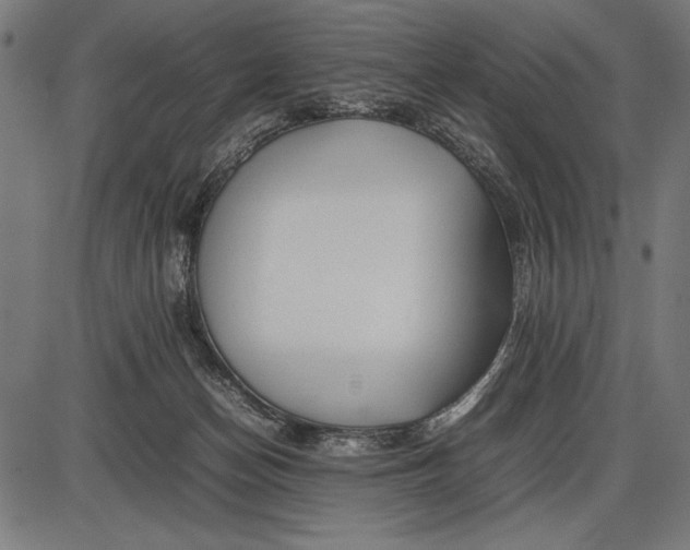 X0000086080174200704091310