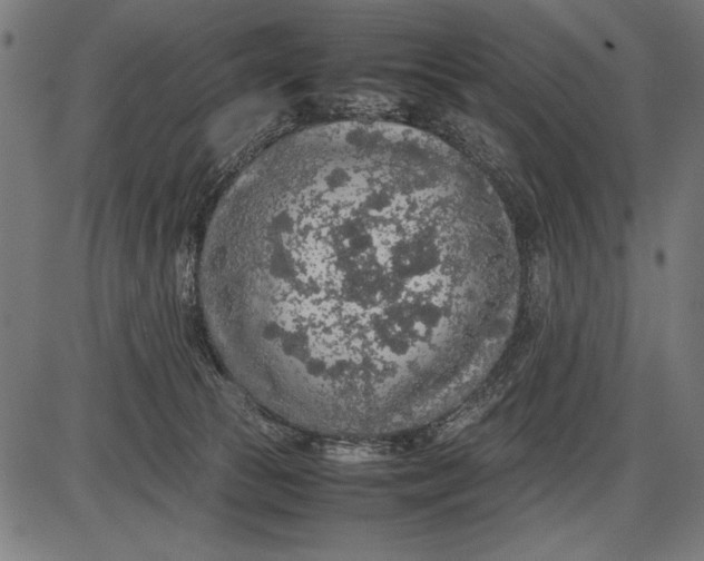 X0000086080177200704091310