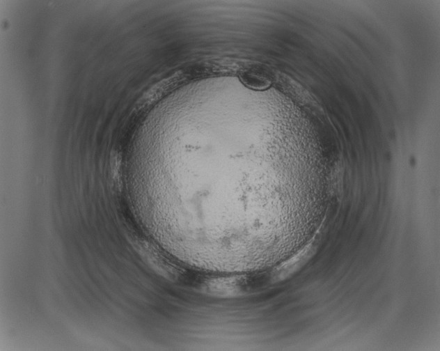 X0000086080178200704091310