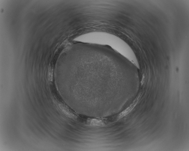 X0000086080180200704091310