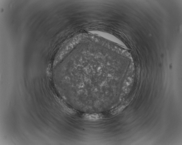 X0000086080181200704091310