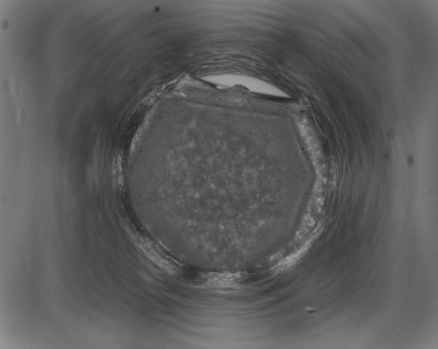 X0000086080182200704091310