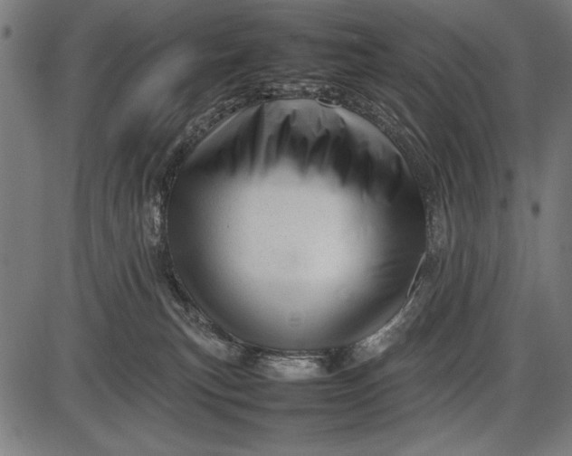 X0000086080183200704091310