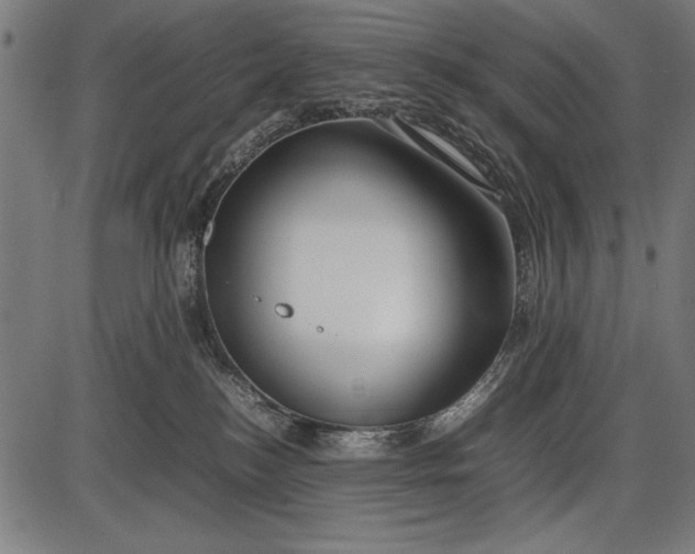 X0000086080184200704091310