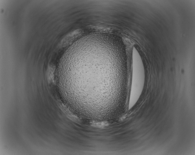 X0000086080185200704091310