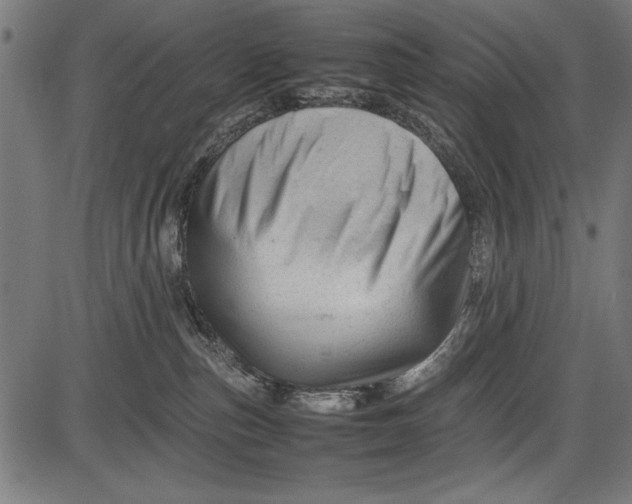 X0000086080187200704091310