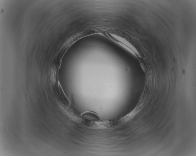 X0000086080188200704091310