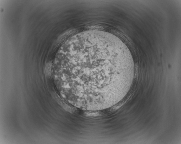 X0000086080189200704091310