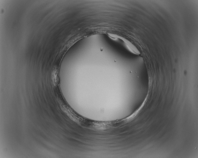 X0000086080190200704091310