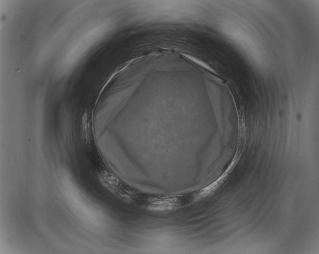 X0000086080191200704091310