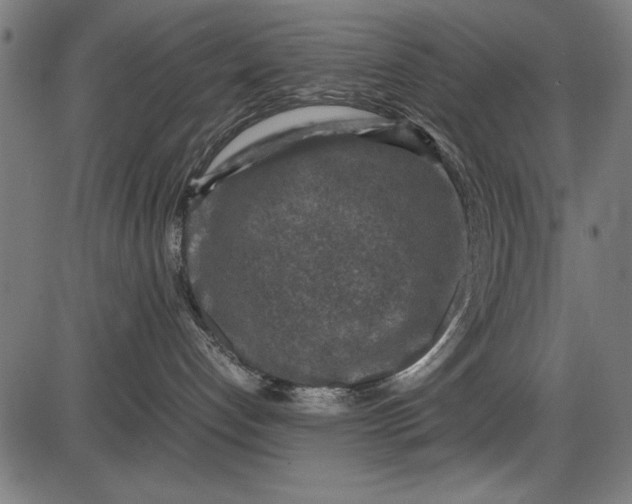 X0000086080192200704091310