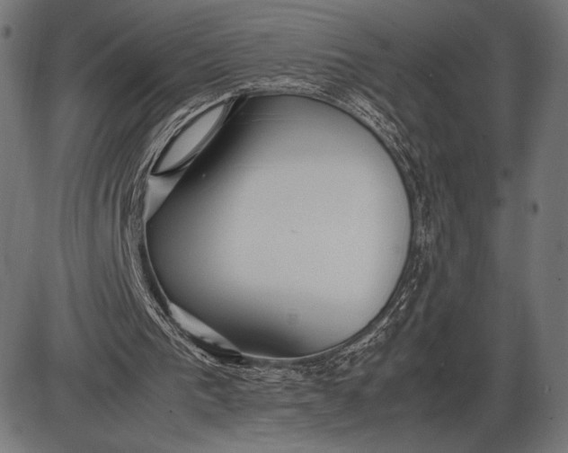 X0000086080193200704091310